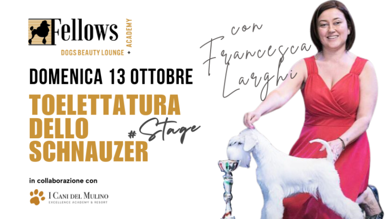 DOMENICA 13 OTTOBRE – STAGE DI TOELETTATURA SULLA RAZZA DELLO SCHNAUZER