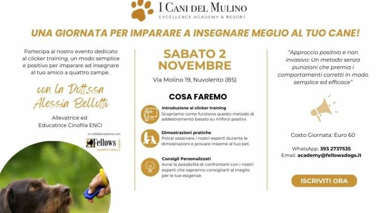 SABATO 2 NOVEMBRE / GIORNATA DEDICATA AL CLICKER TRAINING