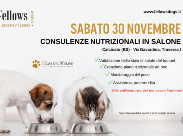 SABATO 30 NOVEMBRE – NUTRITION DAY / consulenze nutrizionali gratuite