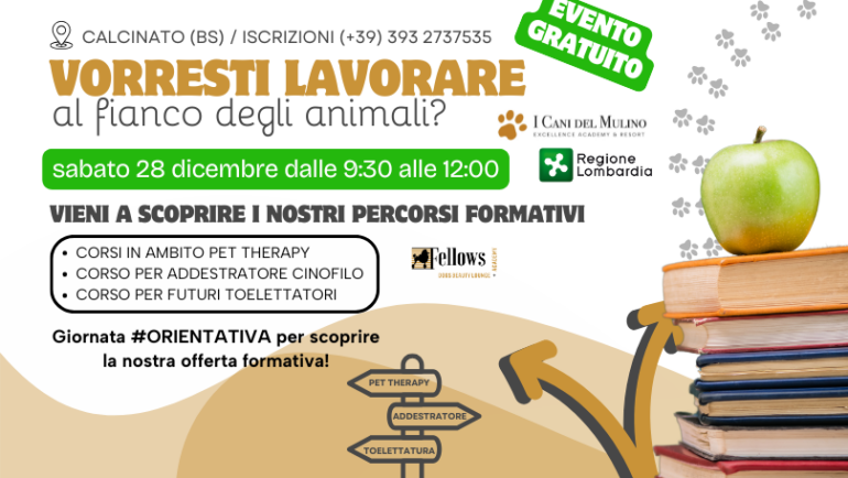 28 DICEMBRE / OPEN DAY ORIENTATIVO per scoprire la nostra offerta formativa