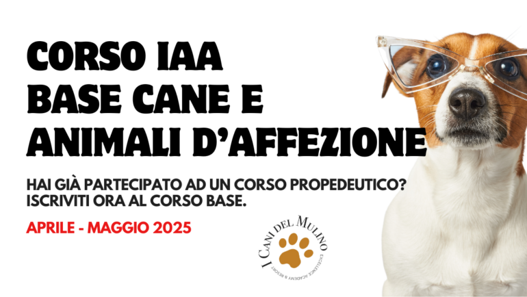 APRILE 2025 CORSO BASE CANE E ANIMALI D’AFFEZIONE – IAA (PET THERAPY)