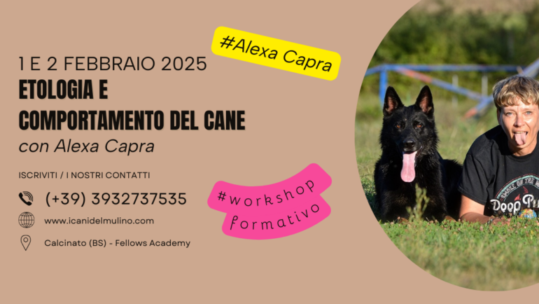 STAGE CINOFILO con ALEXA CAPRA / 1 e 2 febbraio